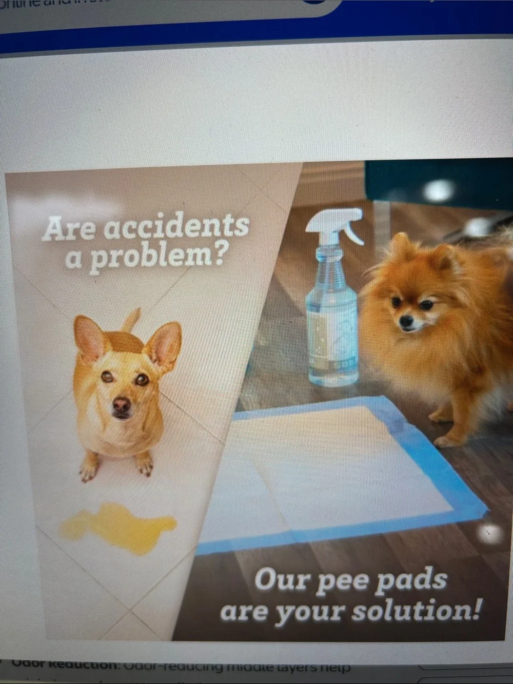 Leak Proof PetTraining Pads- 35 total